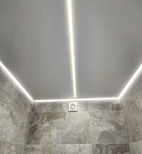 Тіньовий профіль і світлова лінія